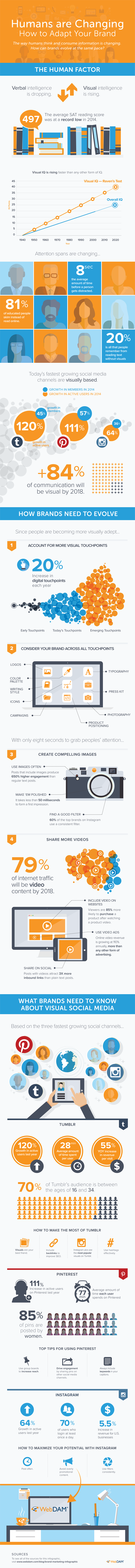 infografica_visual marketing